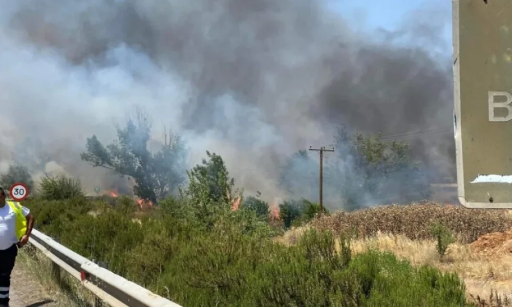 Έχει ξεσπάσει φωτιά σε βιομηχανική περιοχή της Τρίπολης- Κάηκαν αυτοκίνητα (Upd)